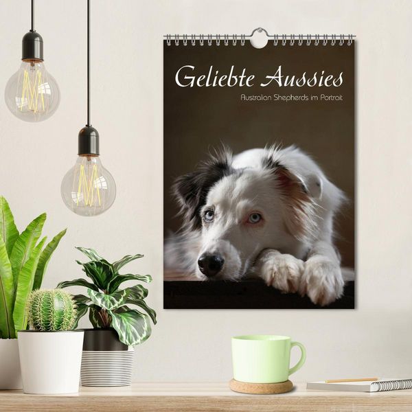 Produktbild: Geliebte Aussies - Australian Shepherds im Portrait (Wandkalender 2026 DIN A4 hoch), CALVENDO Monatskalender
