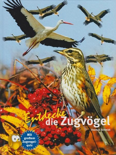 Produktbild: Entdecke die Zugv&ouml;gel