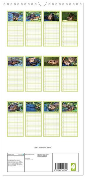 Produktbild: Familienplaner 2026 - Das Leben der Biber mit 5 Spalten (Wandkalender, 21 x 45 cm) CALVENDO