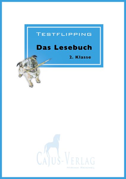 Testflipping. Lesen ab der 2. Klasse, Taschenbuch von Miriam Reichel, Cajus Verlag, 978-3-945176-03-0