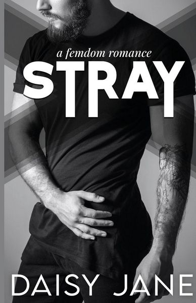 Produktbild: Stray