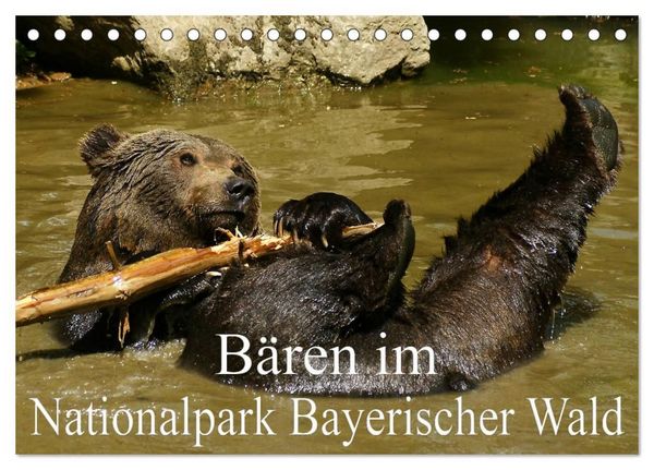 Produktbild: B&auml;ren im Nationalpark Bayerischer Wald (Tischkalender 2027 DIN A5 quer), CALVENDO Monatskalender