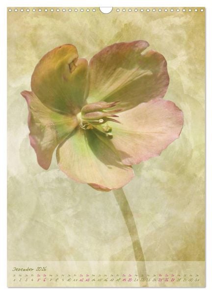 Produktbild: Vintage Flowers (Wandkalender 2026 DIN A3 hoch), CALVENDO Monatskalender