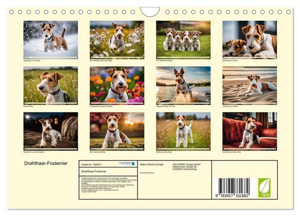 Produktbild: Drahthaar-Foxterrier (Wandkalender 2026 DIN A4 quer), CALVENDO Monatskalender