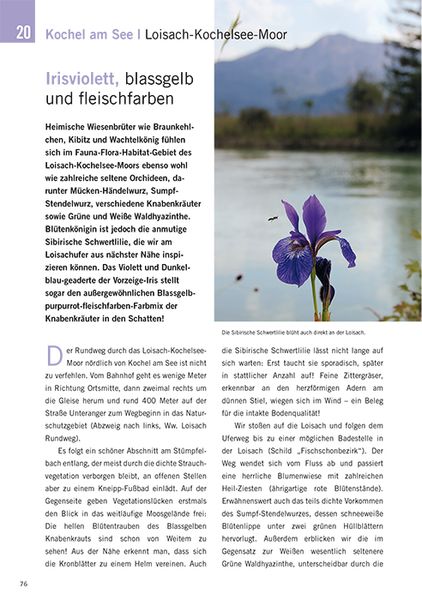 Produktbild: Die sch&ouml;nsten Bl&uuml;ten-Wanderungen in Oberbayern & Tirol, Band 2