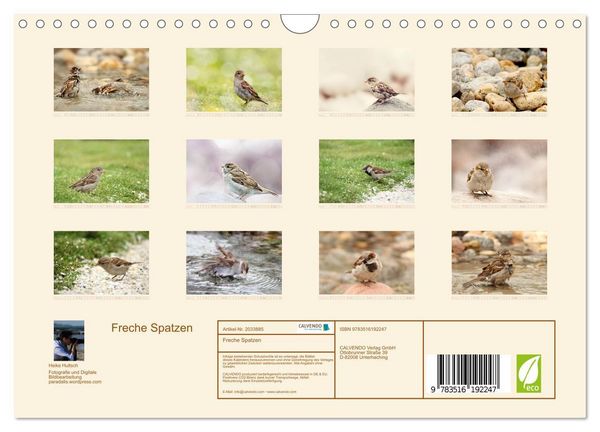 Produktbild: Freche Spatzen (Wandkalender 2026 DIN A4 quer), CALVENDO Monatskalender