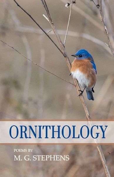 Produktbild: Ornithology