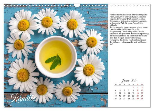 Produktbild: Heilsame Aroma&ouml;le (Wandkalender 2027 DIN A3 quer), CALVENDO Monatskalender
