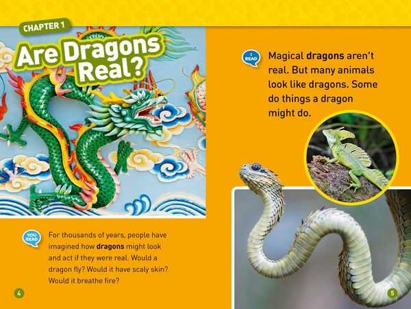 Produktbild: Real Dragons! (National Geographic Kids Readers, Level 1/Co-Reader)