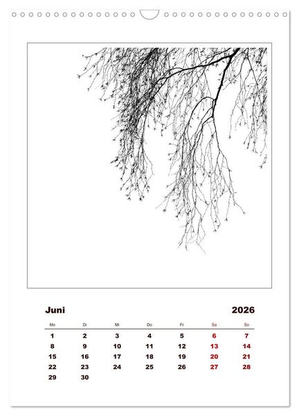 Produktbild: LignoGrafica - Muster und Strukturen der B&auml;ume (Wandkalender 2026 DIN A3 hoch), CALVENDO Monatskalender