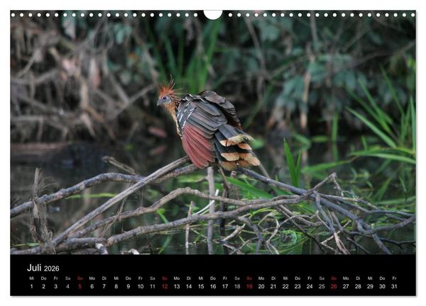 Produktbild: Bolivien (Wandkalender 2026 DIN A3 quer), CALVENDO Monatskalender