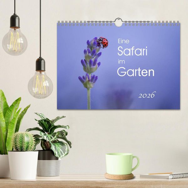 Produktbild: Eine Safari im Garten (Wandkalender 2026 DIN A4 quer), CALVENDO Monatskalender