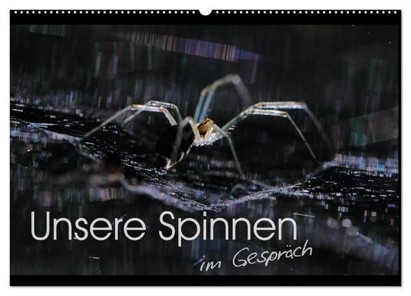 Produktbild: Unsere Spinnen - im Gespr&auml;ch (Wandkalender 2026 DIN A2 quer), CALVENDO Monatskalender