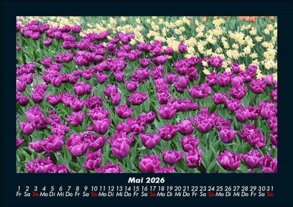 Produktbild: Blumenzauber 2026 Fotokalender DIN A5