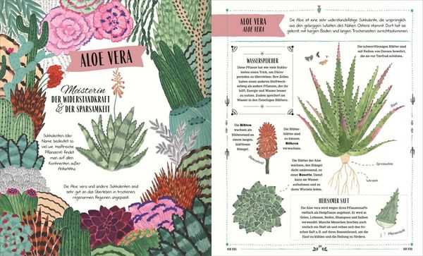 Produktbild: Im Garten
