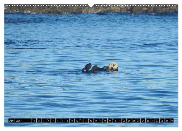 Produktbild: Vancouver - Vancouver Island - Seattle (hochwertiger Premium Wandkalender 2026 DIN A2 quer), Kunstdruck in Hochglanz