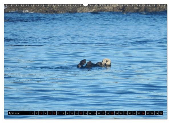 Produktbild: Vancouver - Vancouver Island - Seattle (Wandkalender 2026 DIN A2 quer), CALVENDO Monatskalender