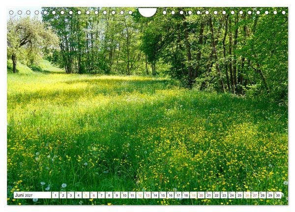 Produktbild: 12 Monate Natur (Wandkalender 2027 DIN A4 quer), CALVENDO Monatskalender
