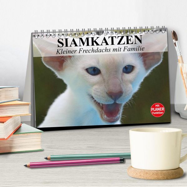 Produktbild: Siamkatzen - Kleiner Frechdachs mit Familie (Tischkalender 2026 DIN A5 quer), CALVENDO Monatskalender
