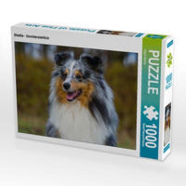 CALVENDO Puzzle Sheltie - Unwiderstehlich | 1000 Teile Lege-Größe 64x48cm Foto-Puzzle für glückliche Stunden
