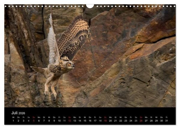 Produktbild: Uhu - K&ouml;nig der Nacht (Wandkalender 2026 DIN A3 quer), CALVENDO Monatskalender