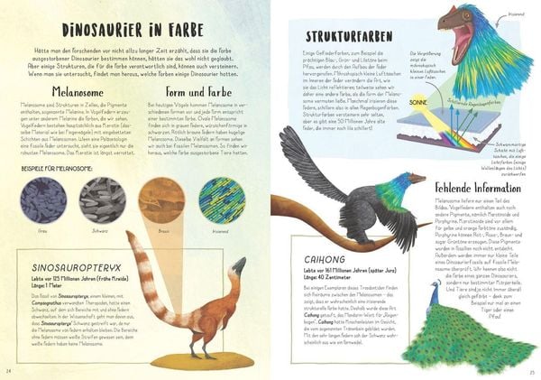 Produktbild: Vom Tyrannosaurus zum Huhn
