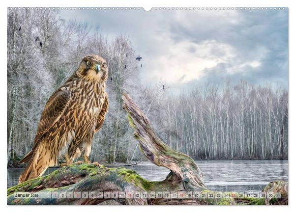 Produktbild: Faszinierende Greifv&ouml;gel hautnah (hochwertiger Premium Wandkalender 2026 DIN A2 quer), Kunstdruck in Hochglanz