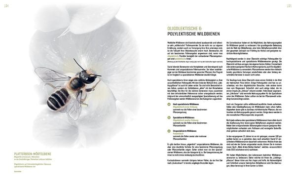 Produktbild: WILDBIENENHELFER