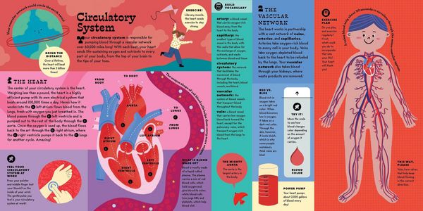 Produktbild: The Interactive Human Body