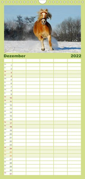 Produktbild: Welt der Pferde - Familienplaner hoch (Wandkalender 2022 , 21 cm x 45 cm, hoch)