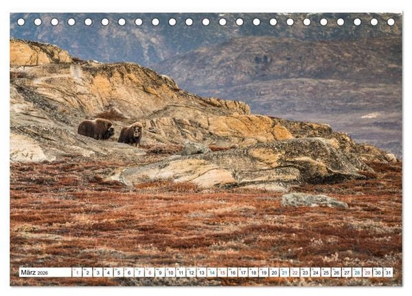 Produktbild: Scoresbysund - Sommer im gr&ouml;&szlig;ten und l&auml;ngsten Fjordsystem der Welt (Tischkalender 2026 DIN A5 quer), CALVENDO Monatskalender
