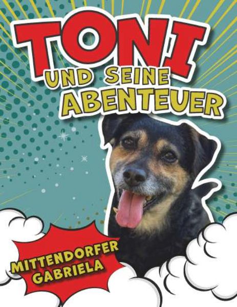 Toni und seine Abenteuer, Gebundene Ausgabe von Gabriela Mittendorfer, Buchschmiede, 978-3-99192-346-6