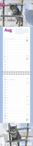 Produktbild: Whiskas Katzenleben Kalender 2027