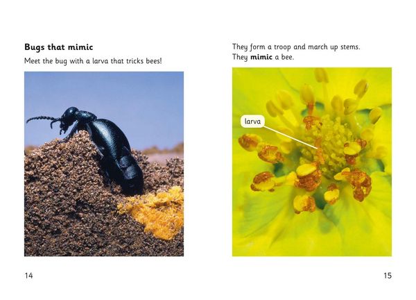 Produktbild: Hidden Bugs