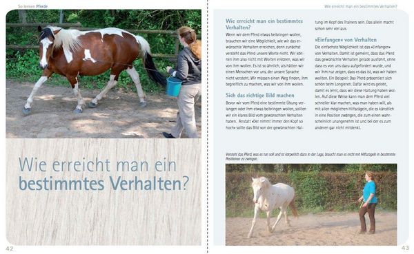 Produktbild: So lernen Pferde
