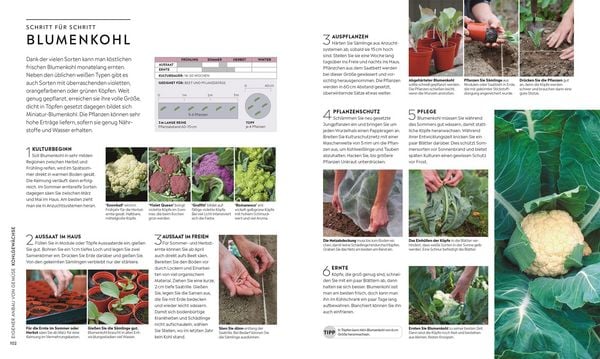 Produktbild: Kleiner Garten - gro&szlig;e Ernte