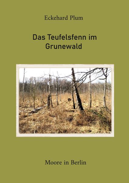 Produktbild: Das Teufelsfenn im Grunewald