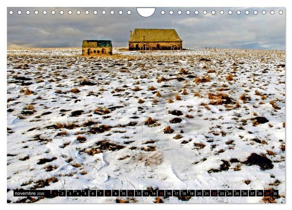 Produktbild: Collection Terre AUBRAC (Calendrier mural 2026 DIN A4 vertical), CALVENDO calendrier mensuel