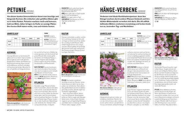 Produktbild: Gr&uuml;nes Gartenwissen. Pflanzen im Topf