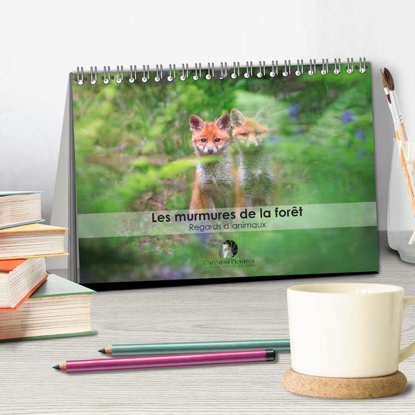 Produktbild: Les murmures de la for&ecirc;t - Regards d'animaux (Calendrier de bureau 2027 DIN A5 vertical), CALVENDO calendrier mensuel