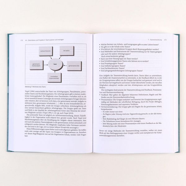 Produktbild: Handbuch Schulentwicklung: Beratung und Begleitung