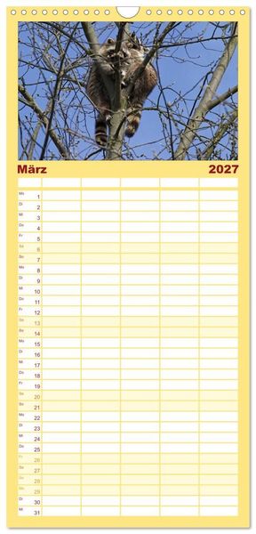 Produktbild: Familienplaner 2027 - Waschb&auml;ren mit 5 Spalten (Wandkalender, 21 x 45 cm) CALVENDO
