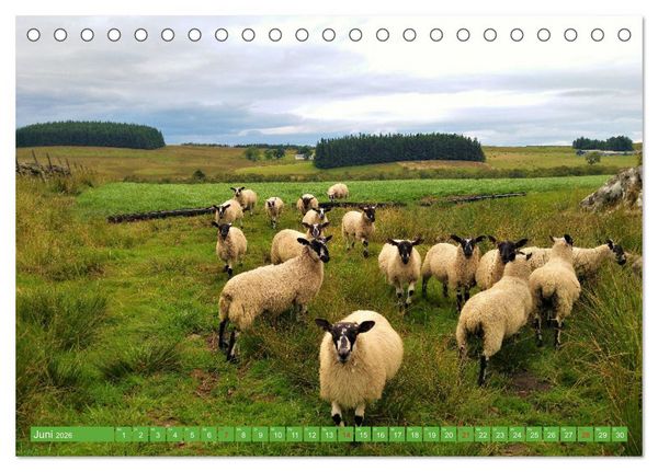 Produktbild: Schottland - Impressionen von magischen Orten (Tischkalender 2026 DIN A5 quer), CALVENDO Monatskalender