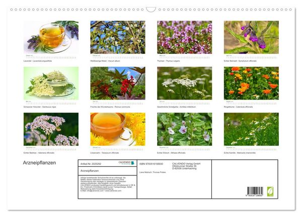 Produktbild: Arzneipflanzen (Wandkalender 2026 DIN A2 quer), CALVENDO Monatskalender