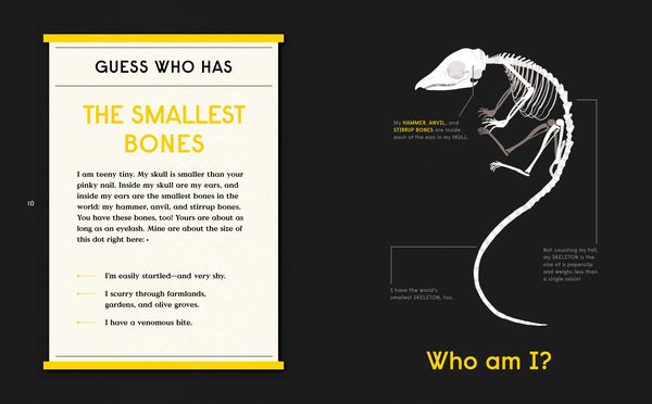 Produktbild: Book of Bones