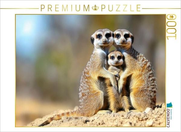 Produktbild: CALVENDO Puzzle Ein wundersch&ouml;nes Familienfoto | 1000 Teile Lege-Gr&ouml;&szlig;e 64x48cm Foto-Puzzle f&uuml;r gl&uuml;ckliche Stunden