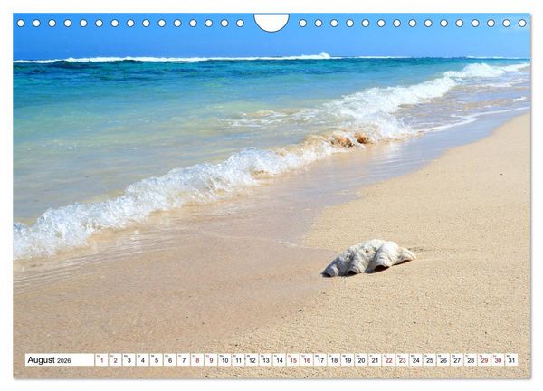 Produktbild: Rarotonga - Trauminsel im S&uuml;dpazifik. (Wandkalender 2026 DIN A4 quer), CALVENDO Monatskalender
