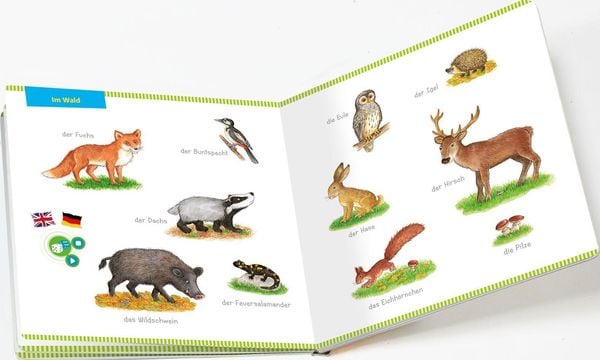 Produktbild: BOOKii&reg; Mein Bildw&ouml;rter-Buch Tiere