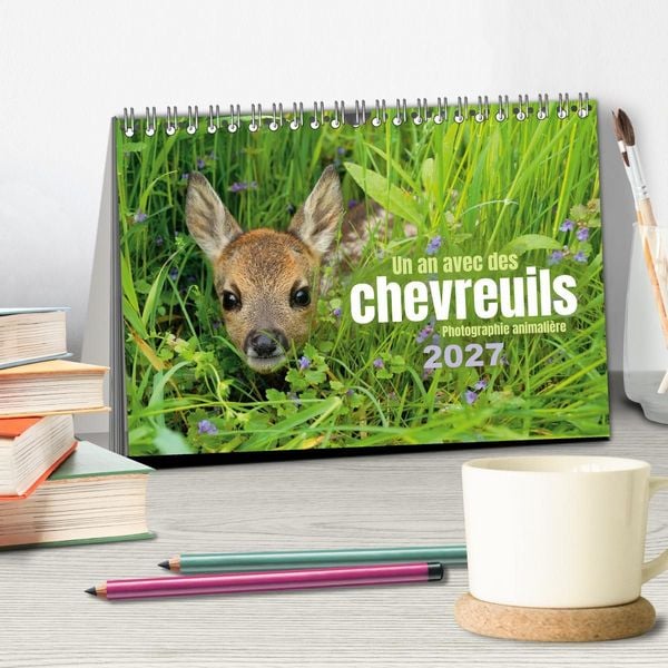 Produktbild: Un an avec des chevreuils (Calendrier de bureau 2027 DIN A5 vertical), CALVENDO calendrier mensuel