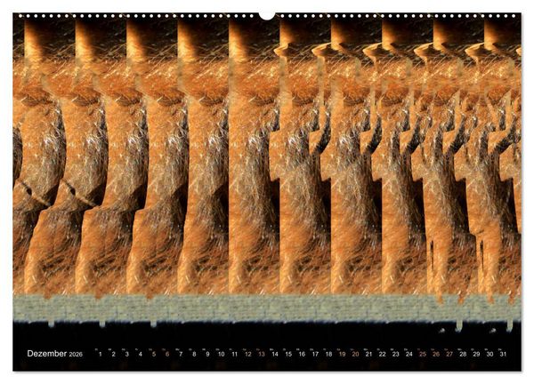 Produktbild: Magische Bilder - 3D Stereogramme (Wandkalender 2026 DIN A2 quer), CALVENDO Monatskalender